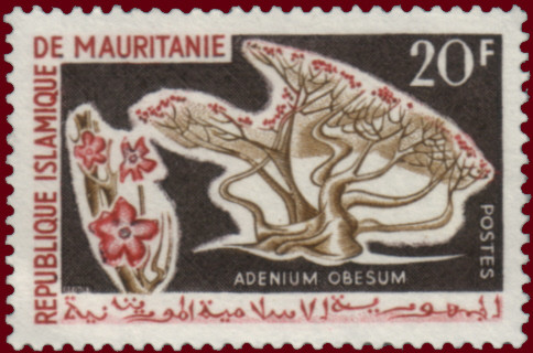 Stamp