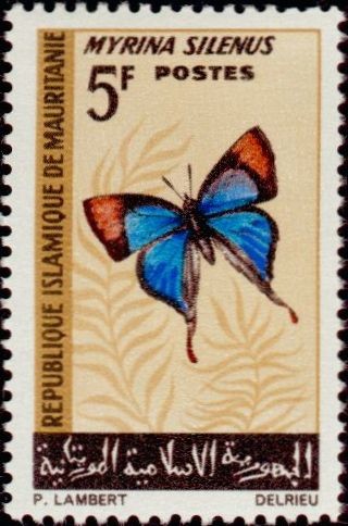 Stamp