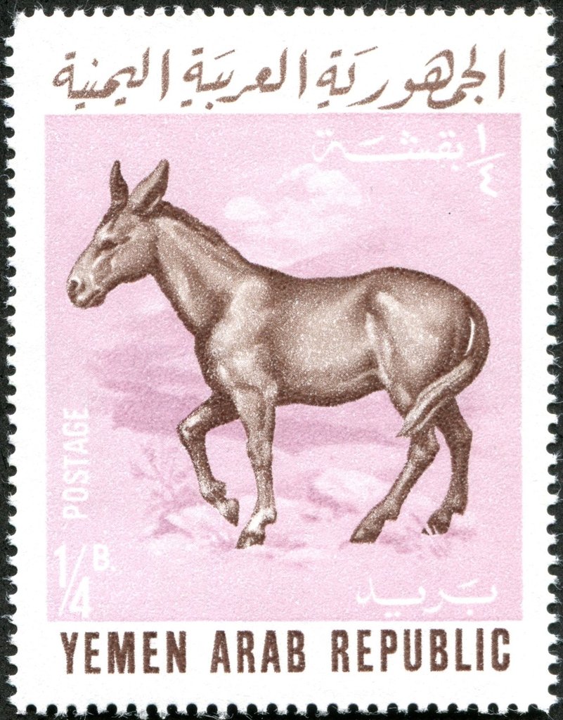 Stamp